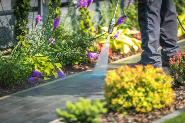 Best Fence Cleaning and Maintenance in Morris, AL