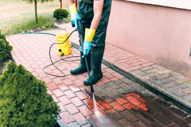 Best Soft Washing for Delicate Surfaces in Morris, AL
